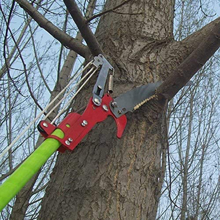 INTBUYING 19 Feet Tree Pole Pruner Cutter Tree Saw Scissor Branch